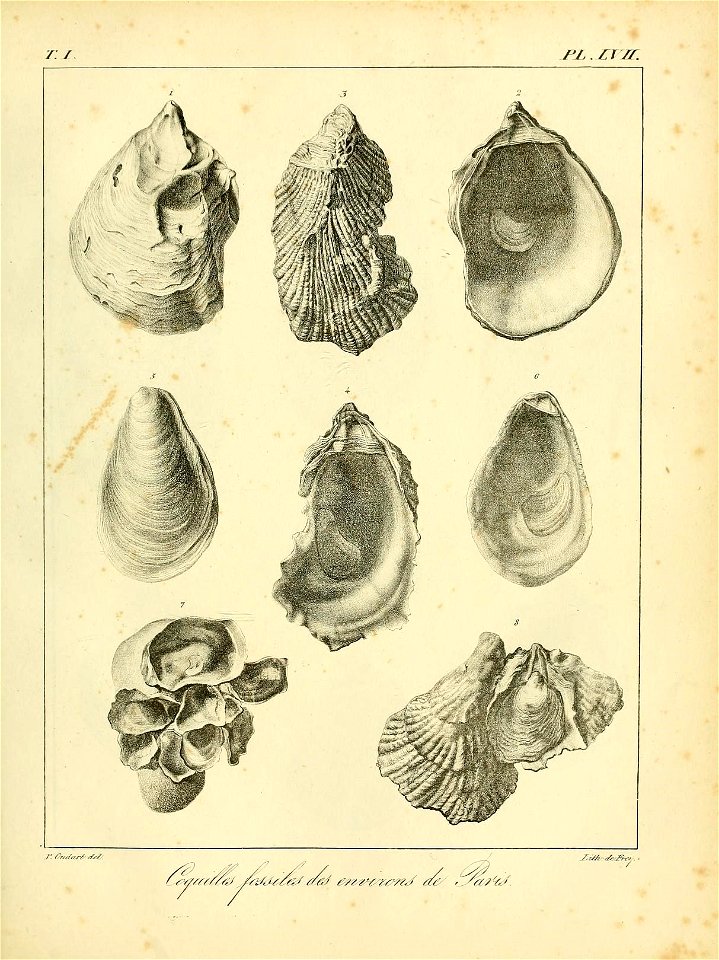 n548_w1150