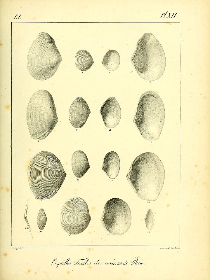 n458_w1150