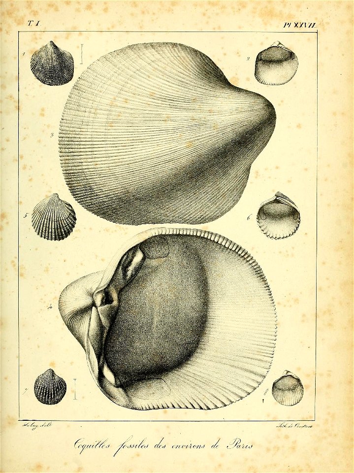 n488_w1150