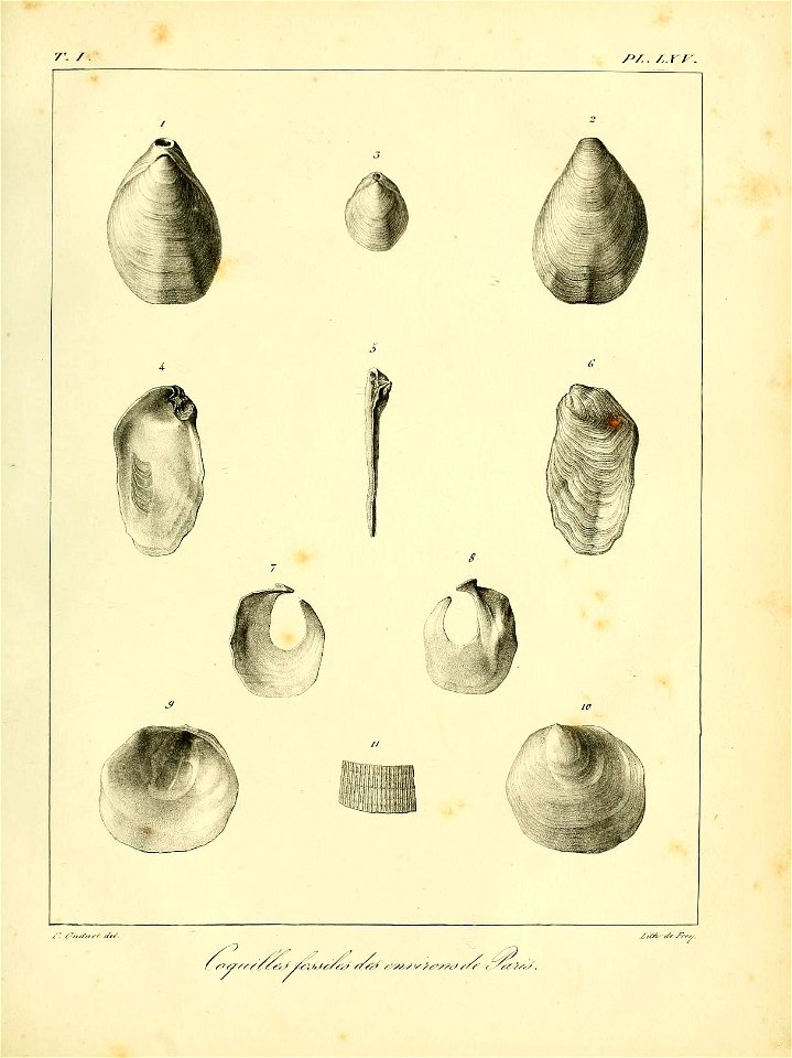 n564_w1150