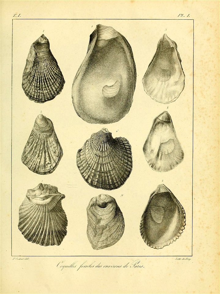 n534_w1150