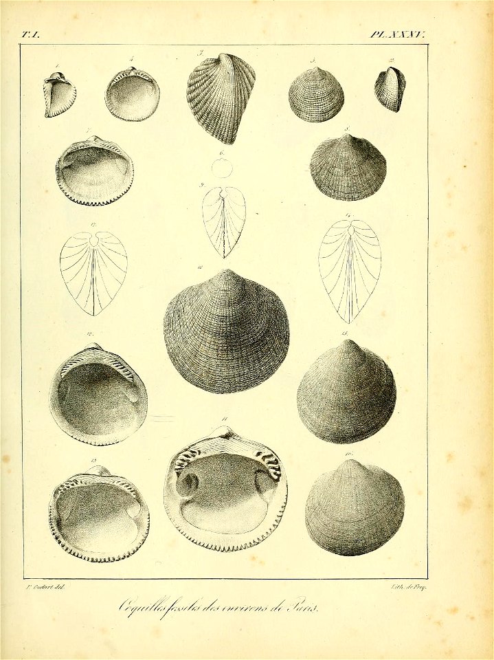 n504_w1150