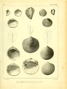 n504_w1150