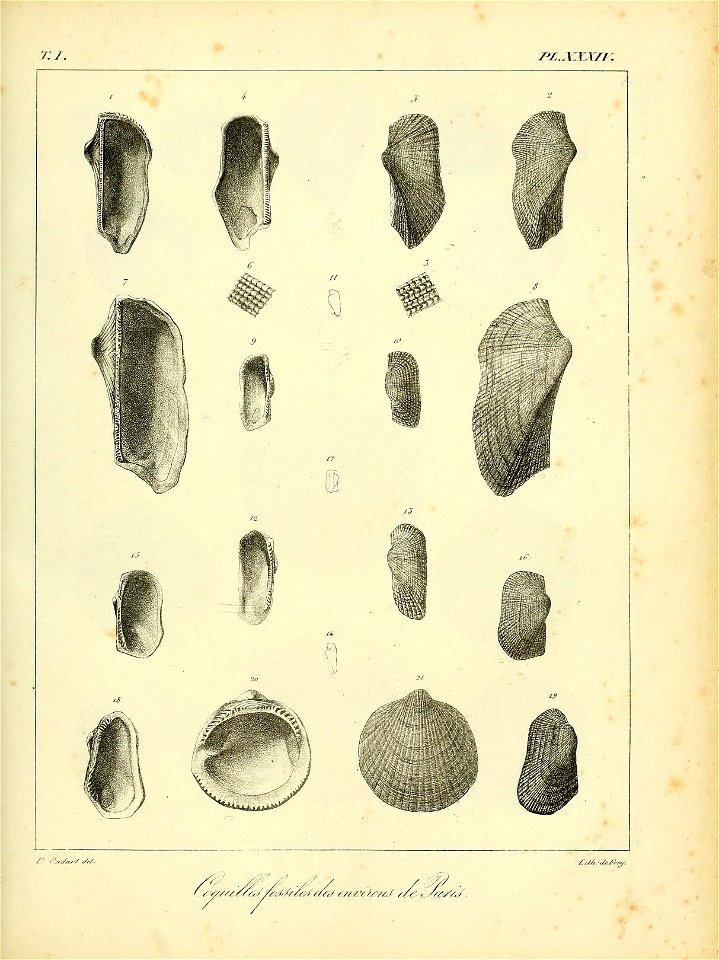 n502_w1150