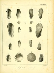 n502_w1150