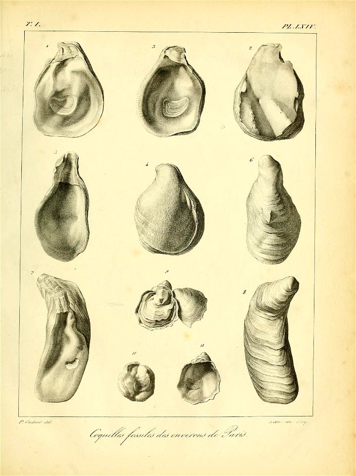 n562_w1150