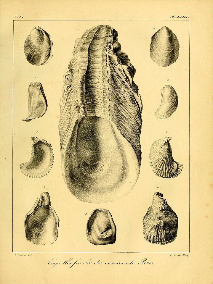 n560_w1150