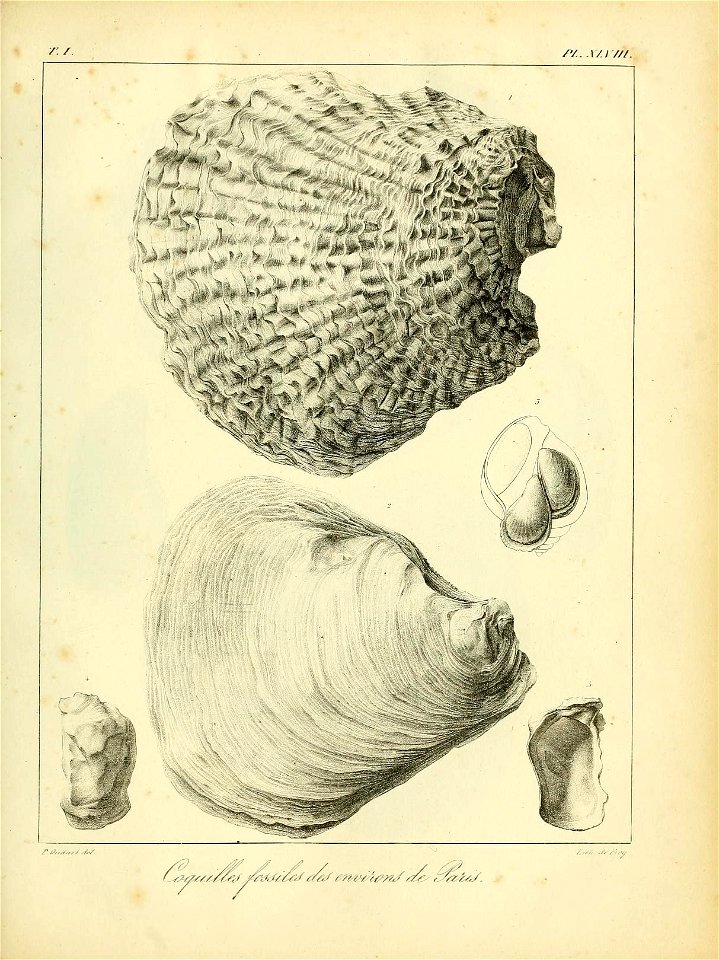 n530_w1150