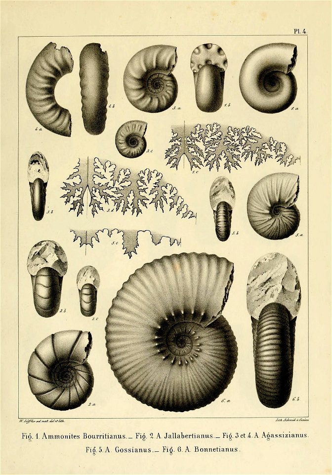 n16_w1150