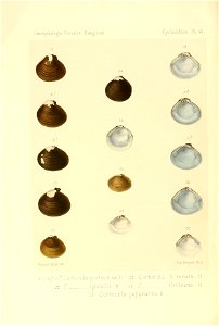 n353_w1150