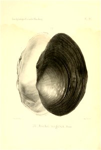 n195_w1150