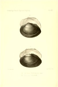 n129_w1150