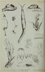 n381_w1150