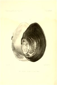 n187_w1150