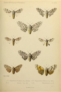 n156_w1150