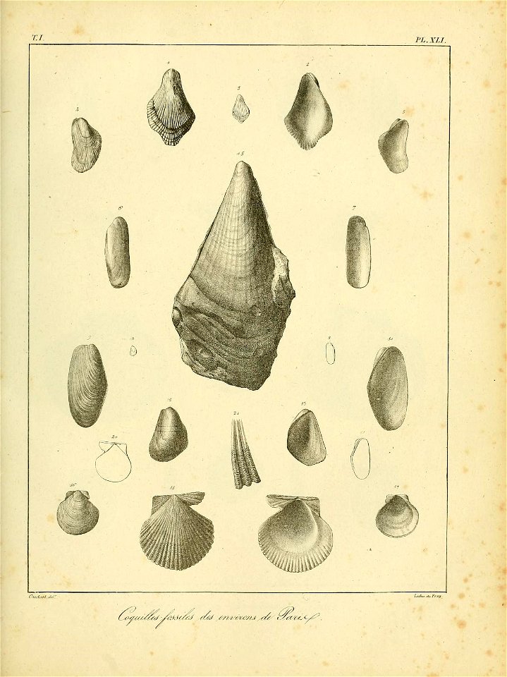 n516_w1150