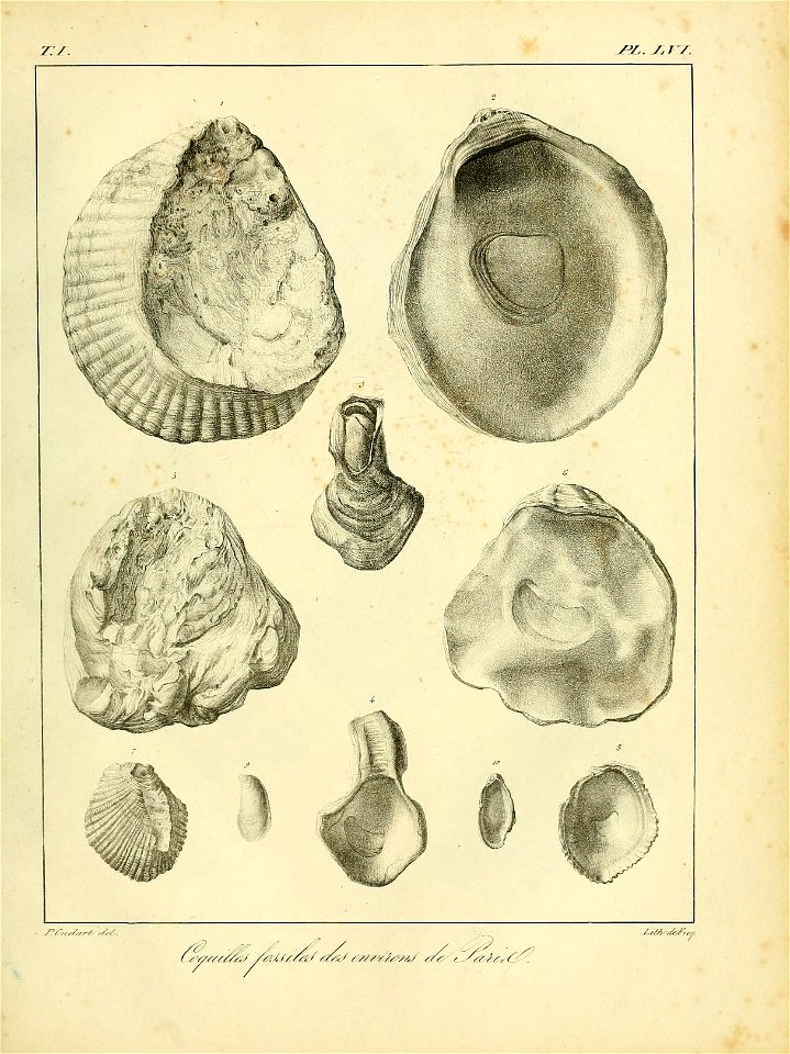 n546_w1150