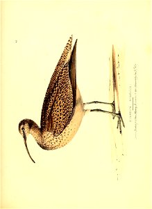 n536_w1150
