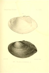 n384_w1150