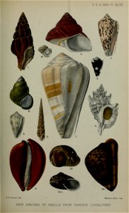 n608_w1150
