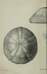 n83_w1150
