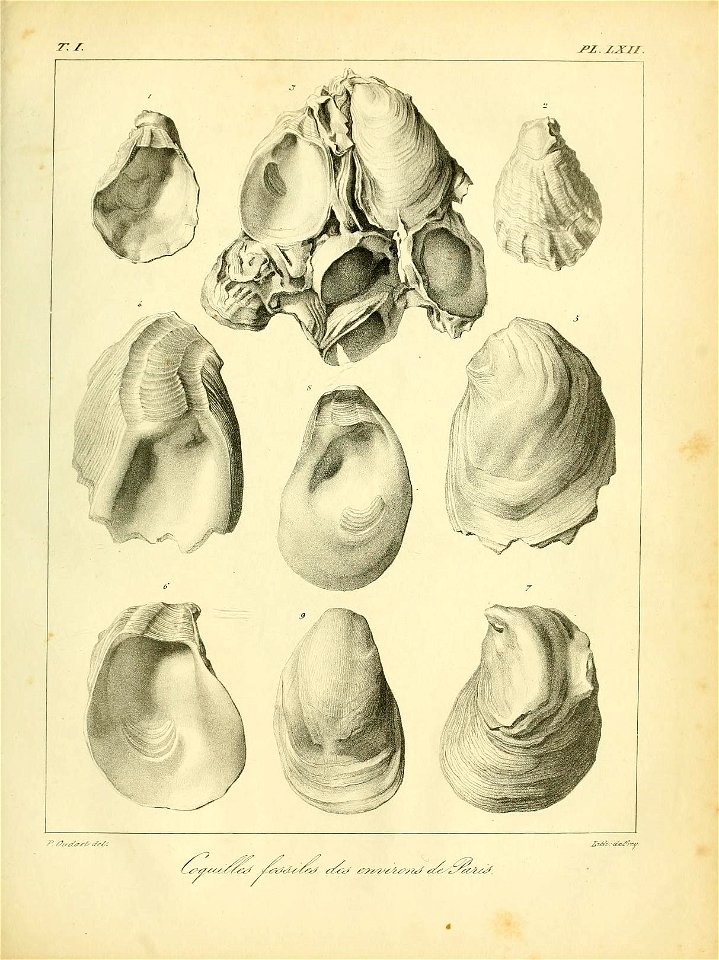 n558_w1150