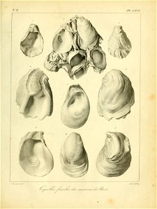 n558_w1150