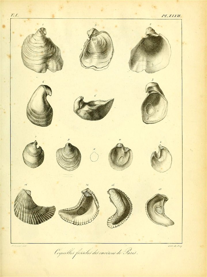 n528_w1150
