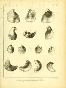 n528_w1150