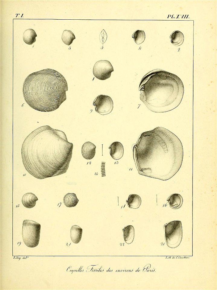 n468_w1150