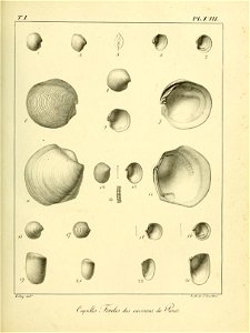 n468_w1150