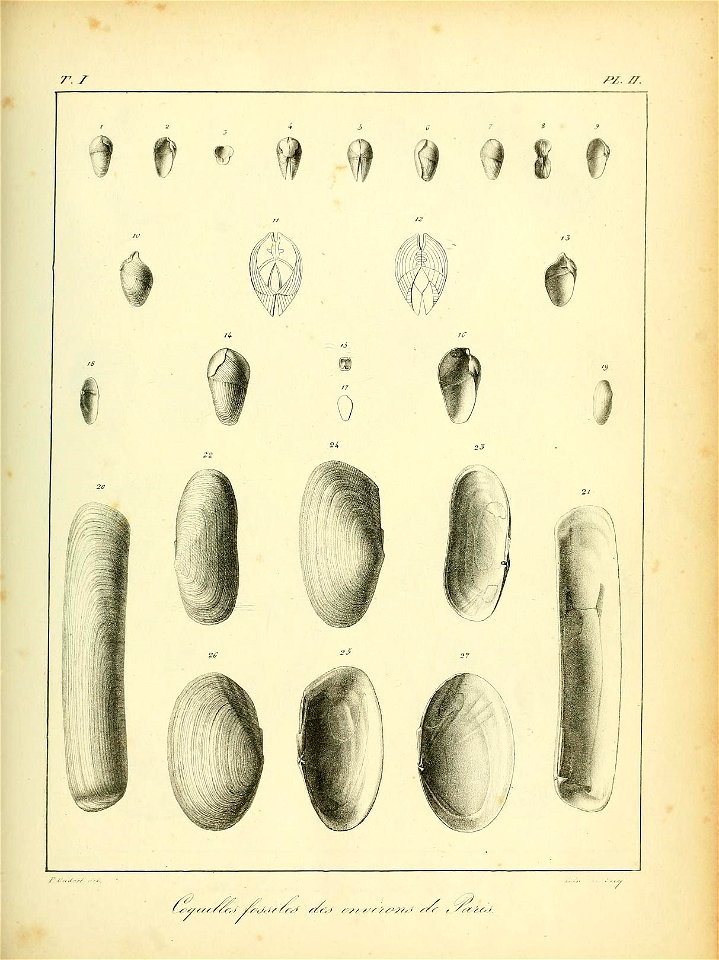 n438_w1150