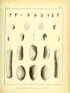 n438_w1150