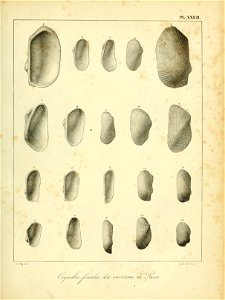 n498_w1150