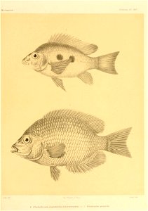 n110_w1150