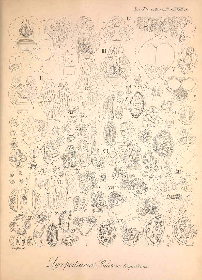 n168_w1150