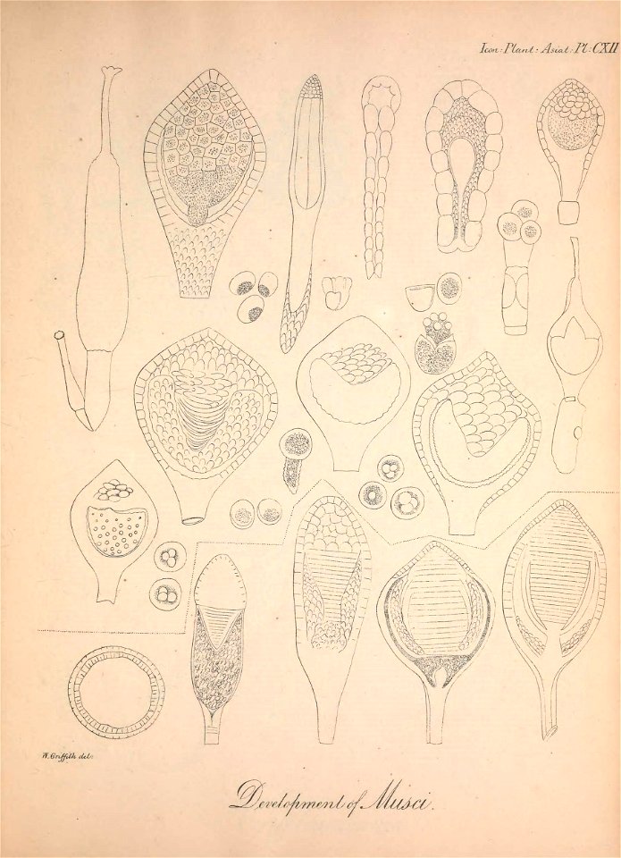 n134_w1150
