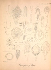 n134_w1150
