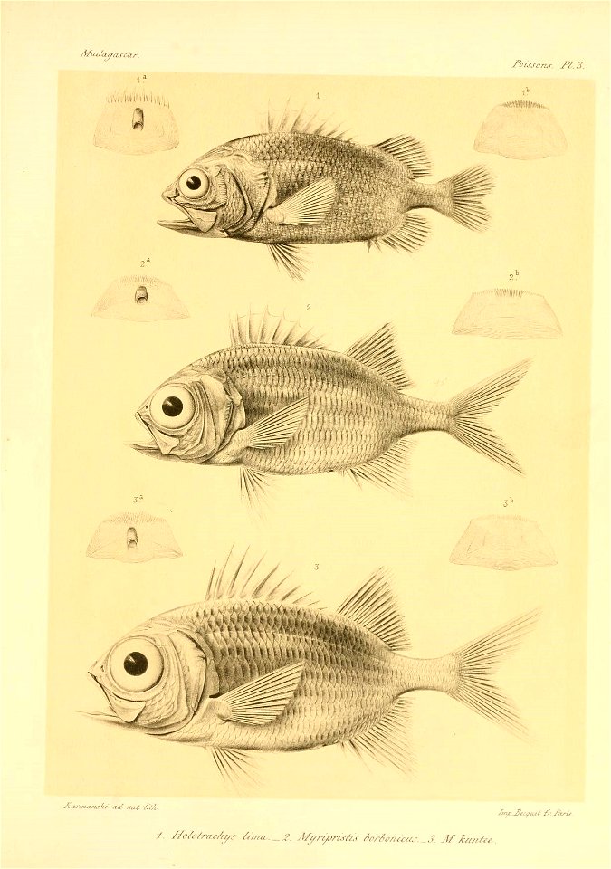 n12_w1150
