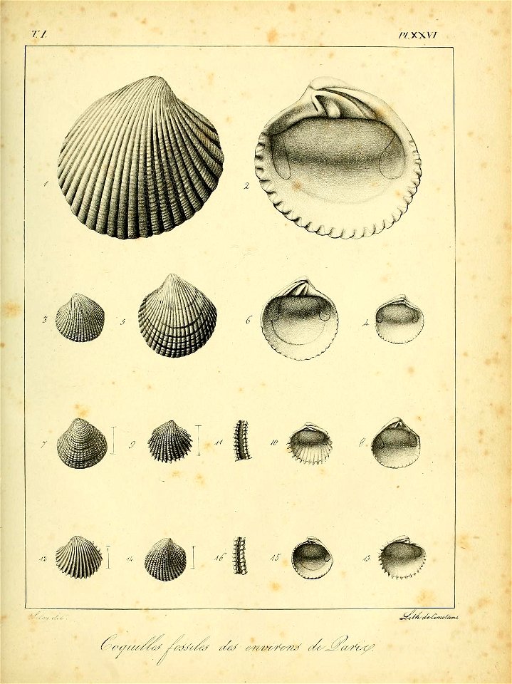n486_w1150