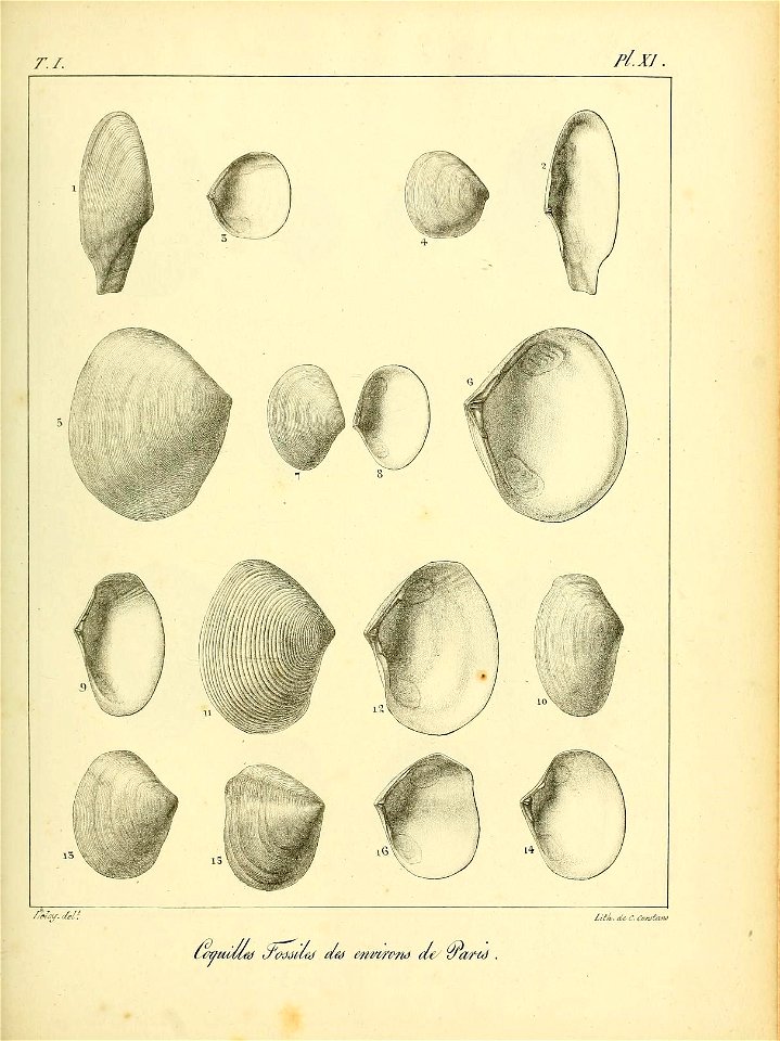 n456_w1150