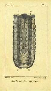 n15_w1150