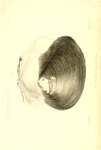 n221_w1150