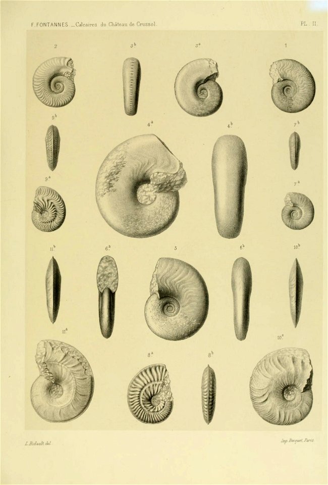 n148_w1150