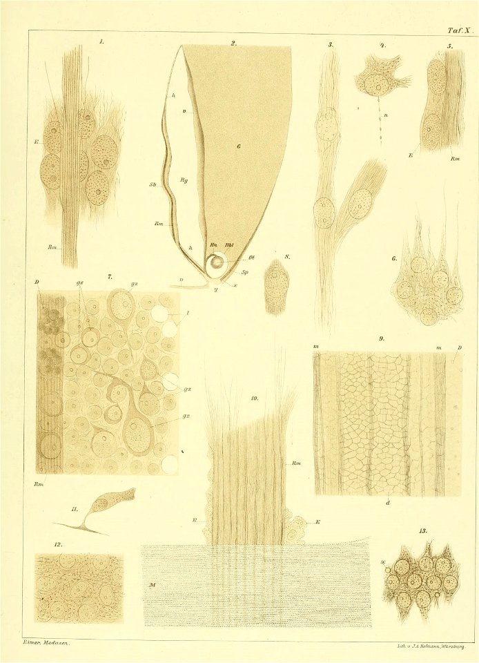n338_w1150
