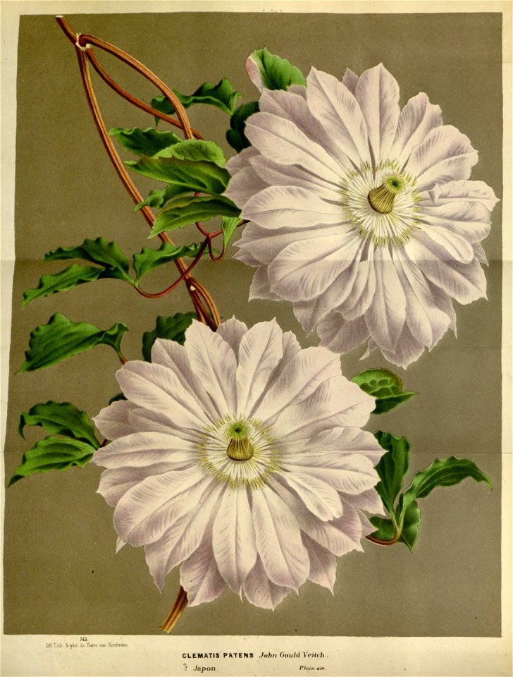 n129_w1150