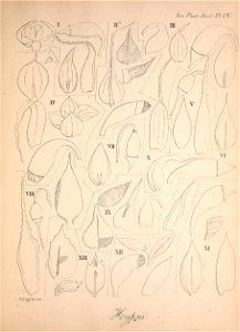 n120_w1150