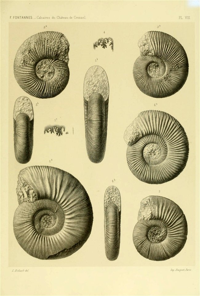 n172_w1150