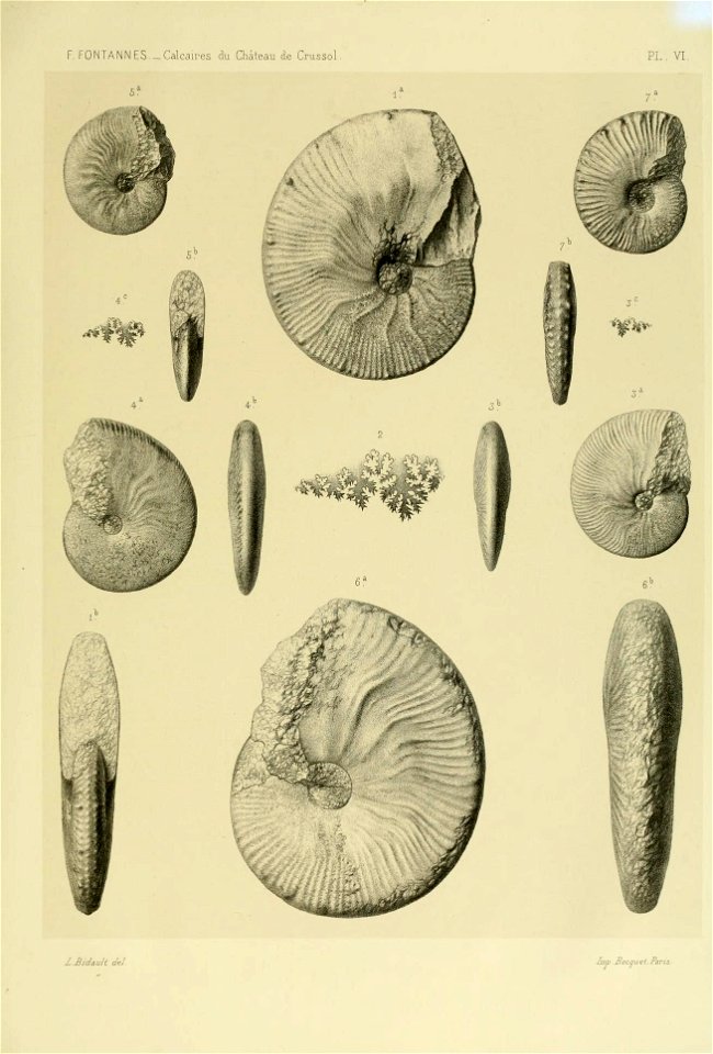 n164_w1150