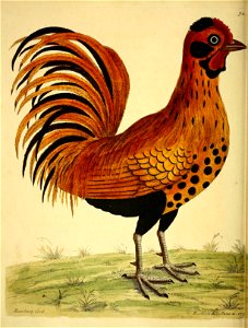 n111_w1150